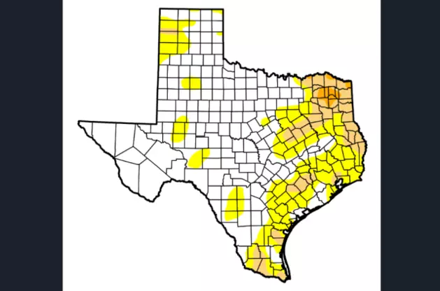 Parts of East Texas Experiencing Severe Drought Conditions