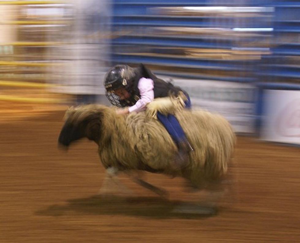 Mutton Bustin&#8217; Riders Drawn for Nacogdoches Pro Rodeo