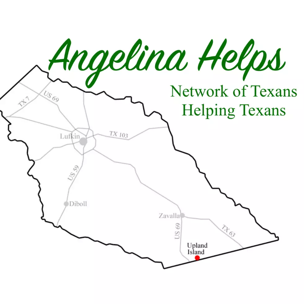 Angelina Helps – A Network of Texans Helping Texans