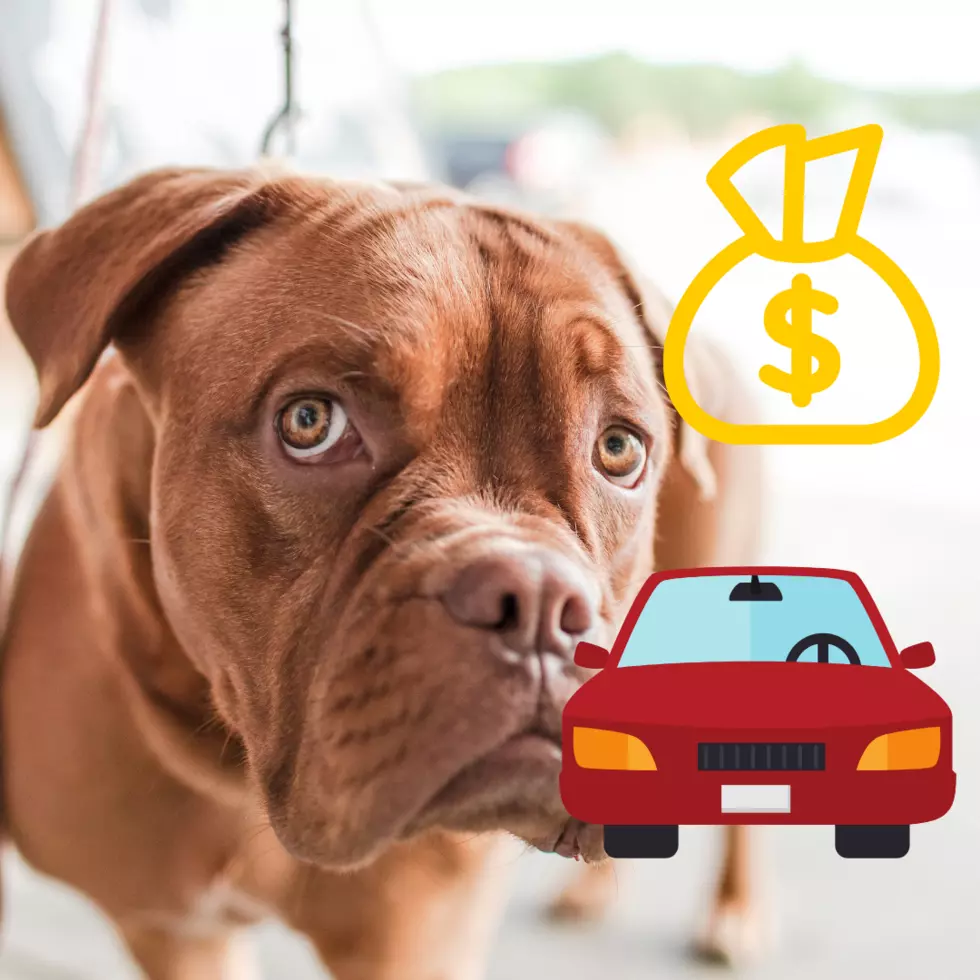 Refinance Your Vehicle Payments With Genco FCU & Save Big