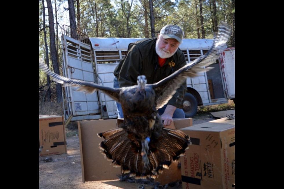 Pineywoods Chapter of NWTF Hosting Annual Banquet this Saturday