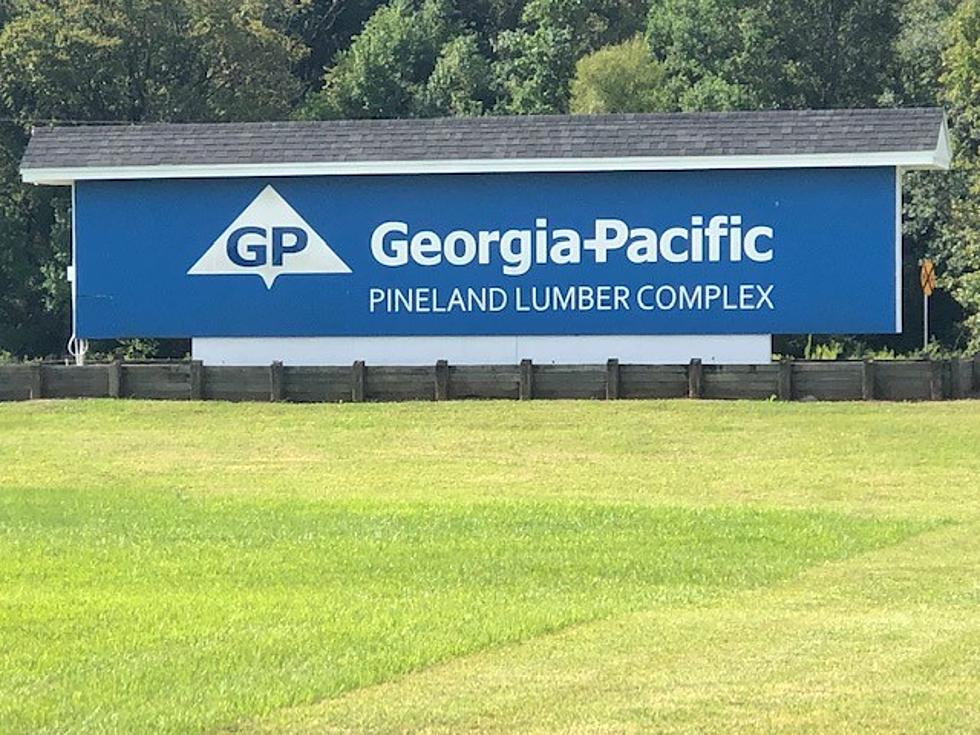 G-P Reveals $120 Million in Upgrades at Pineland Lumber Complex