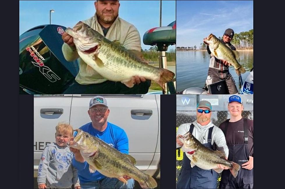 Texas Anglers Are Catching Monster Bass on Lake Sam Rayburn
