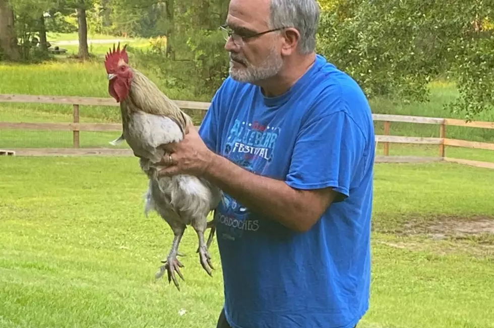Why Danny Merrell Finally Had a Showdown with Rex the Rooster