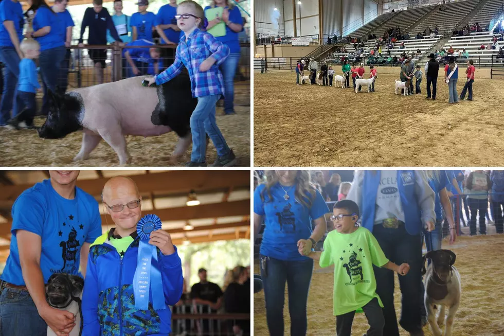 Entries Are Open For Reach For The Stars At Angelina County Fair