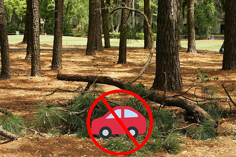 Live in East Texas? Don&#8217;t Park Your Vehicle Under a Tree Tonight