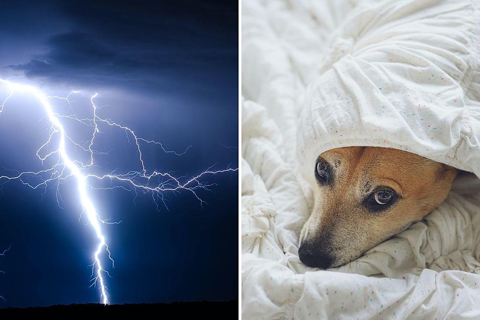 East Texas Forecast &#8211; Not Good For Pets Who Don&#8217;t Like Thunder