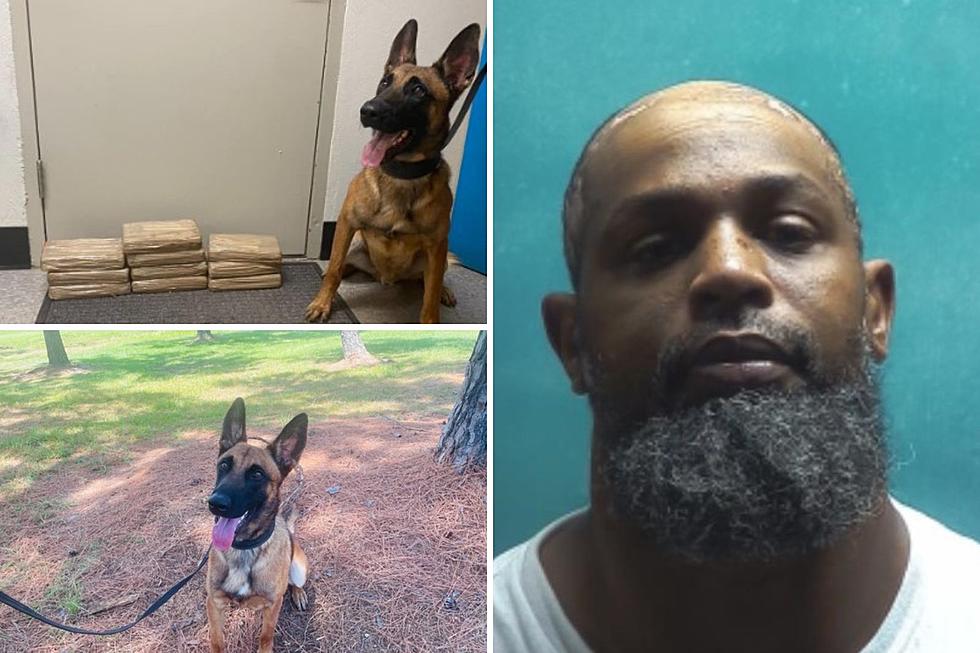 Nacogdoches’ Newest K9 Helps Put the Collar on a Major Drug Bust