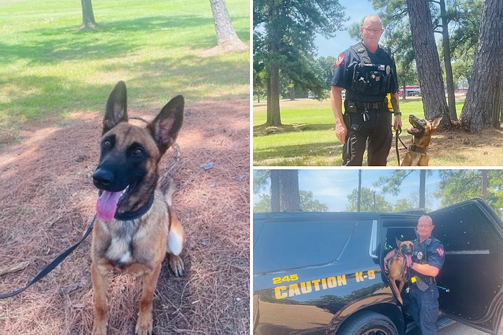 All The Way From Poland, Nacogdoches PD Welcomes New K9 to Texas