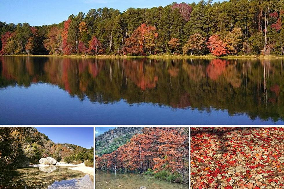 Hidden Texas Gems for Viewing Fall Foliage