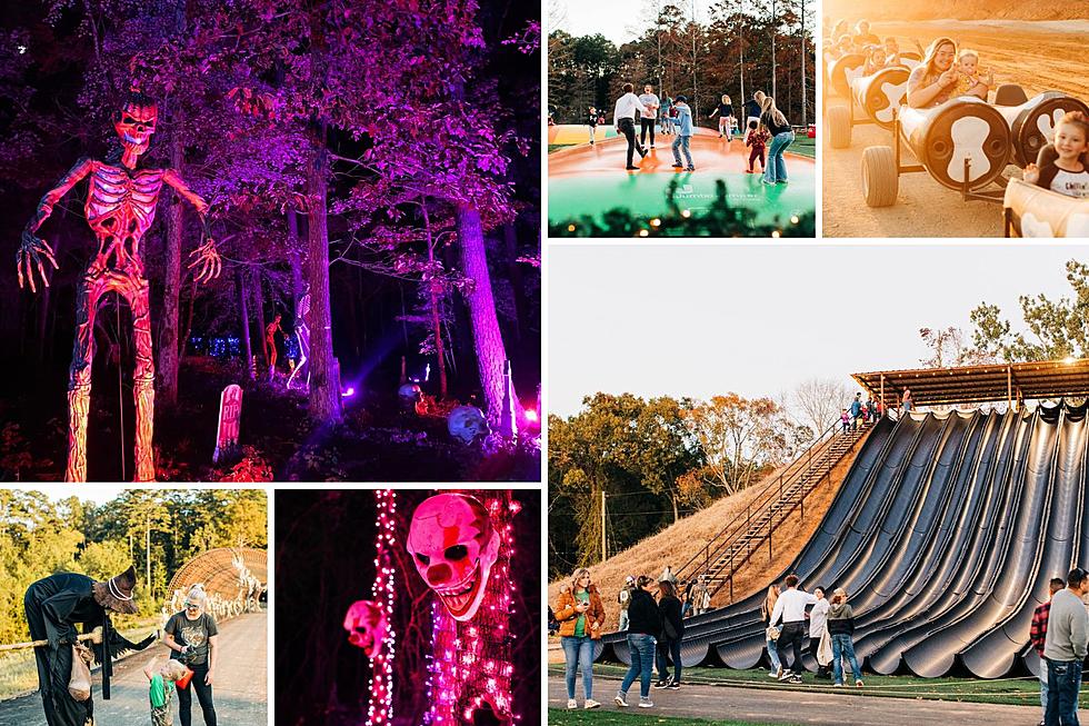 Get 50% Off Entry At The Piney Park Fall Festival &#038; Spooky Trail