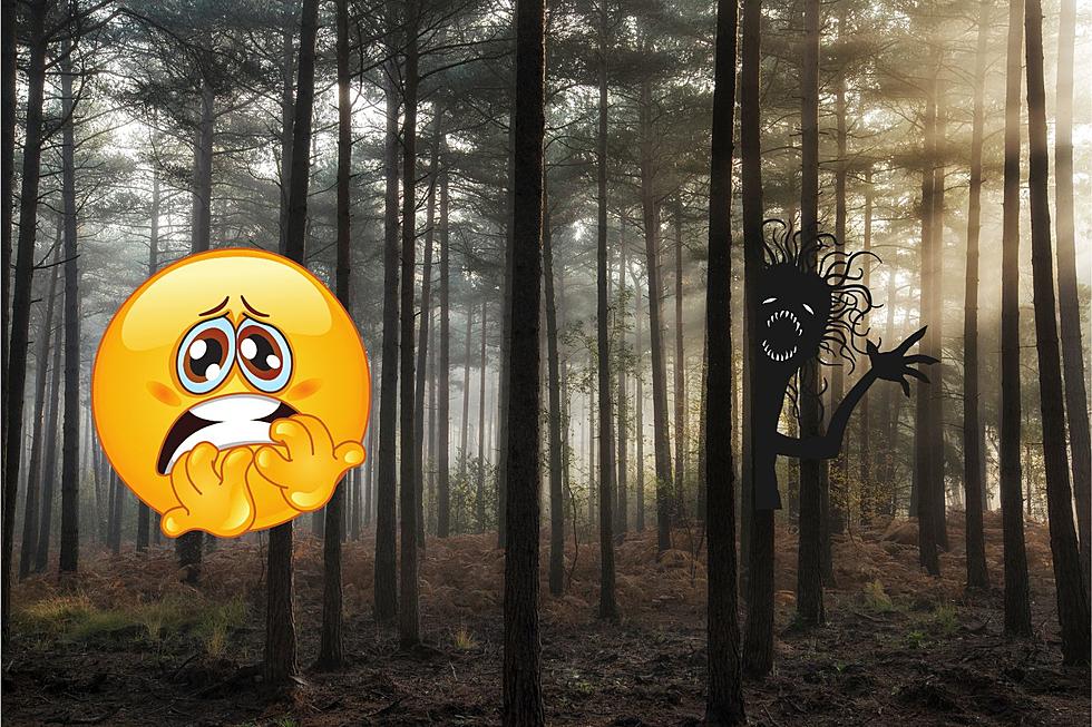 Hear This Scary Scream in the Texas Woods? Get To a Safe Place