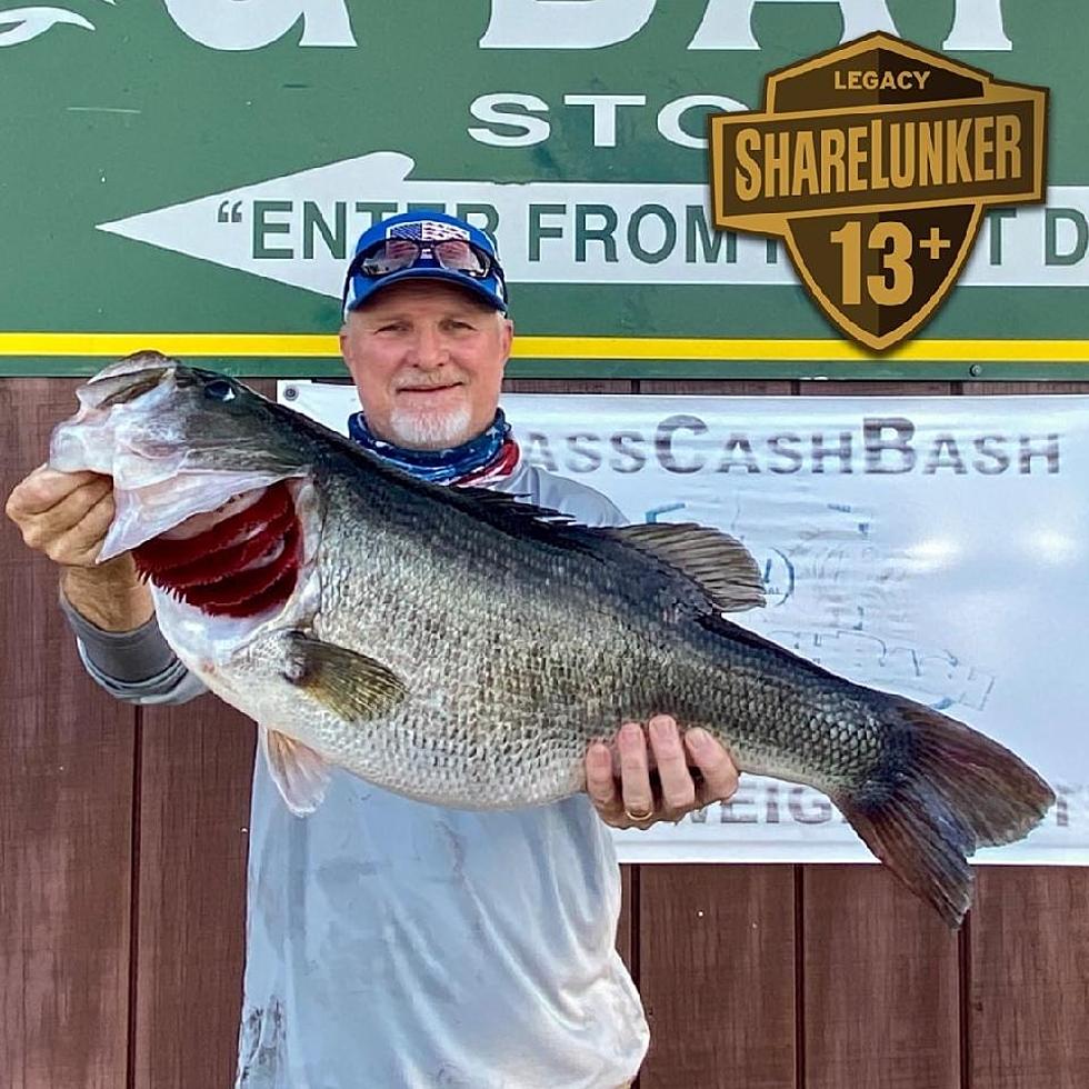 HOLY TOLEDO! East Texas Angler Hooks 13-Pound Bass