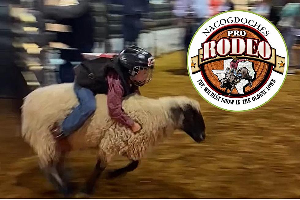 Get Ready for Mutton Bustin' at the Nacogdoches Pro Rodeo