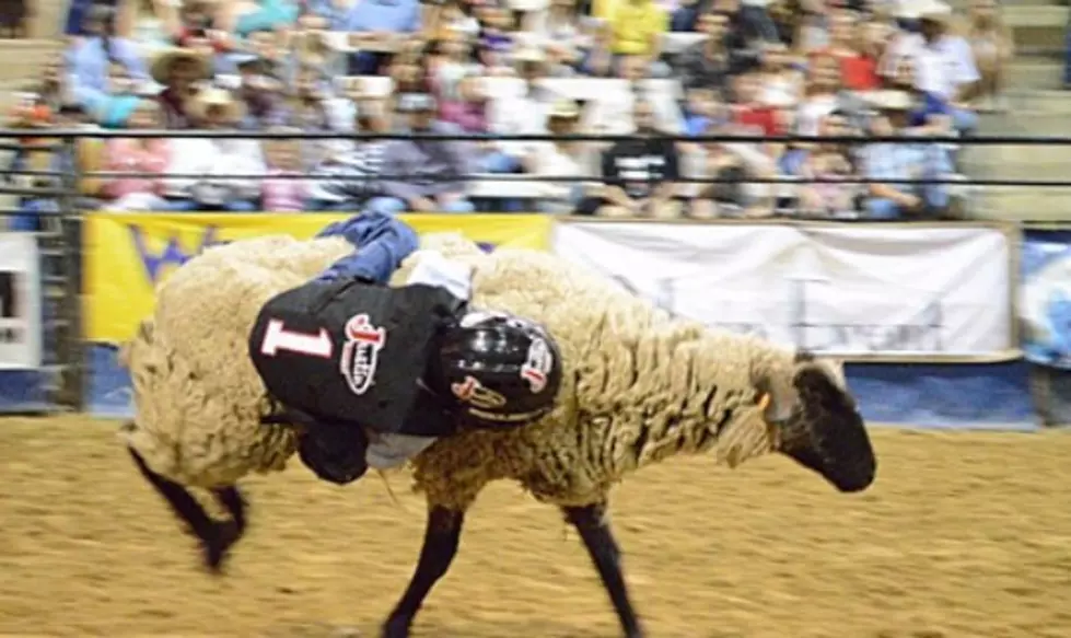Get Signed Up for Mutton Busting at the Angelina Benefit Rodeo
