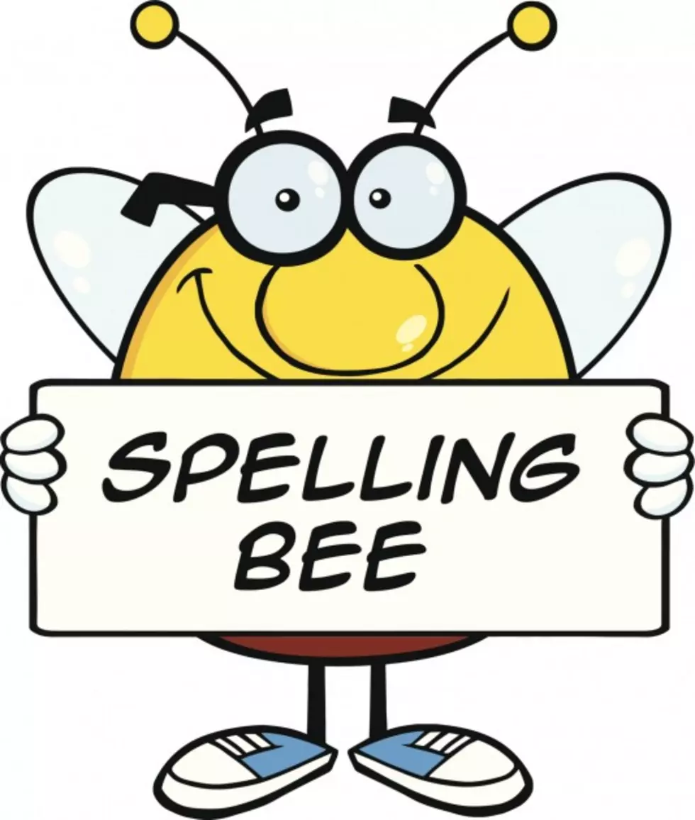 Literacy Council&#8217;s 20th Annual Spelling Bee This Weekend!