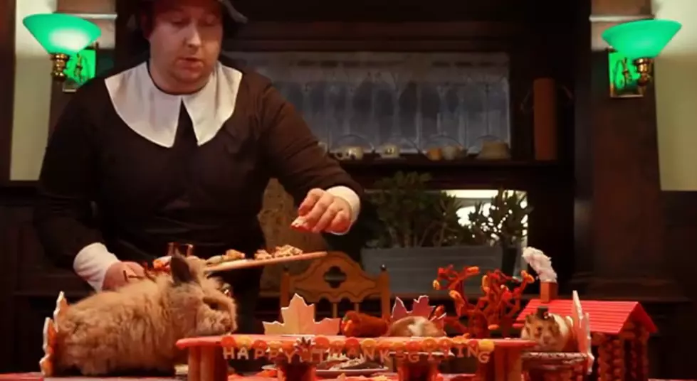 It’s Here! A Tiny Hamster Thanksgiving [VIDEO]