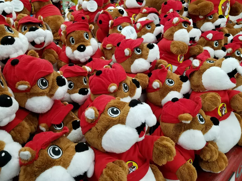 Buc-ee’s Coming To I-30 In Royce City, Texas In 2020 – Have You Ever Been In One?