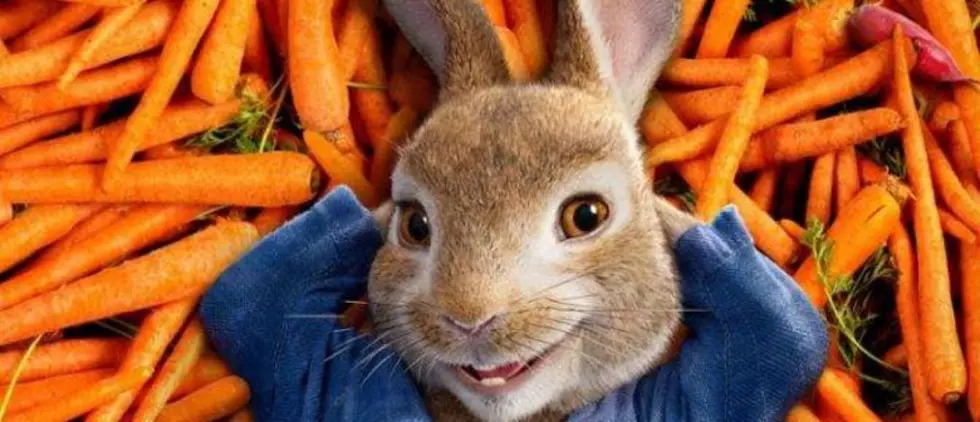 "Peter Rabbit" Kicks Off Movies in the Park