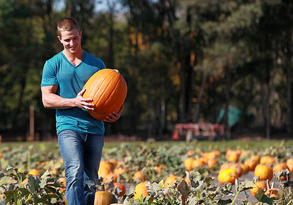 Did 'Taste of Home' Find the Best Pumpkin Patch?