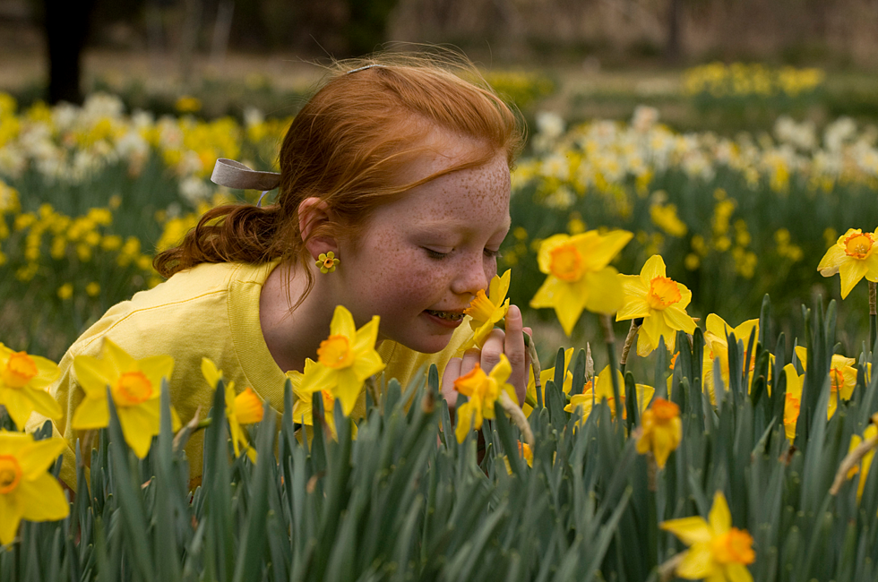 25th Annual Camden Daffodil Festival March 8-9