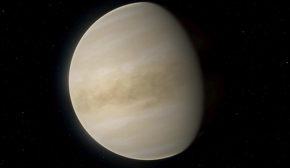 Did Science Just Discover Life on Venus? Maybe