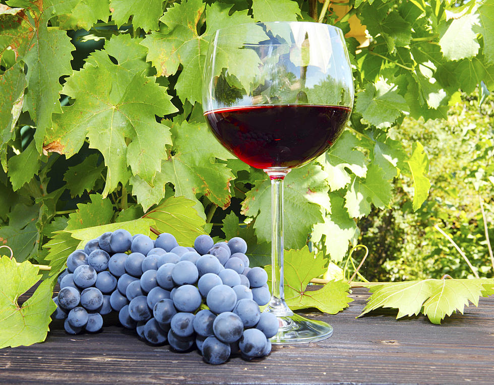 Experience Ancient Wine Making With A Grape Stomp & Fall Festival