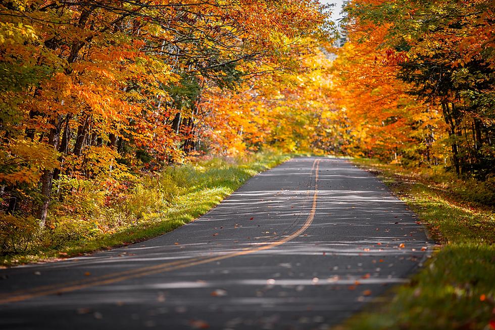 It's Peak Season - Scenic Drives for Stunning Fall Colors in Ar 