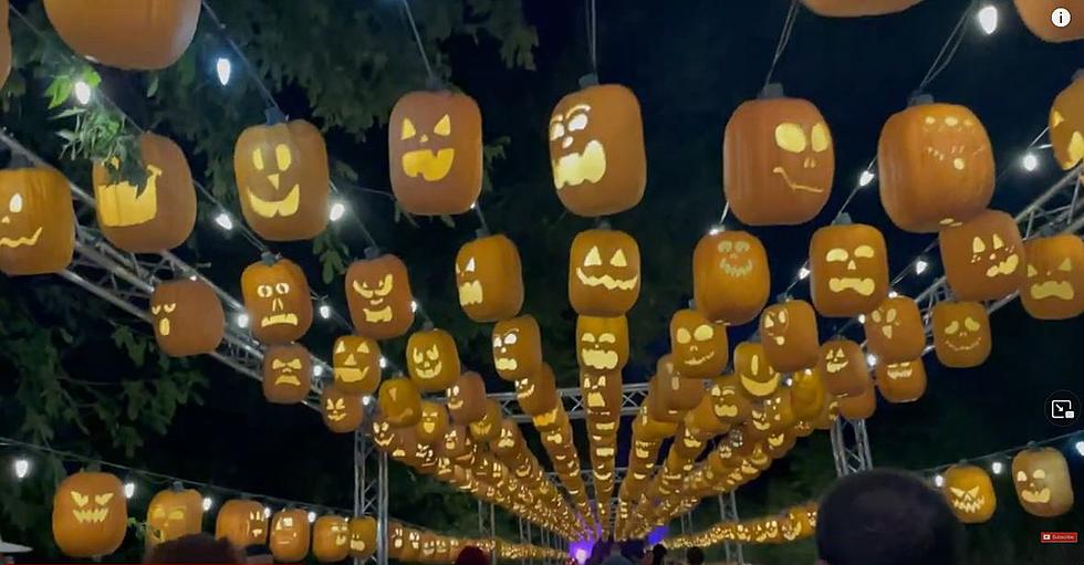 A Spellbinding 5,000 Lighted Pumpkins Await You in Dallas