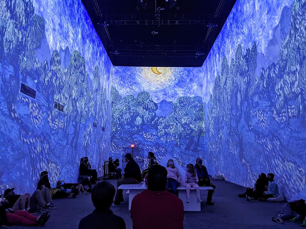 Van Gogh Immersive Experience in Arlington – See It While It’s Here Y’all