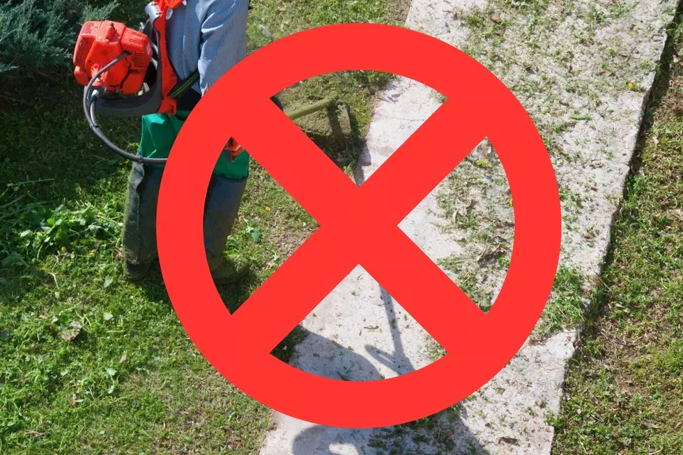 Hey Texarkana: Leaving Yard Clippings in the Street – Legal or Not?