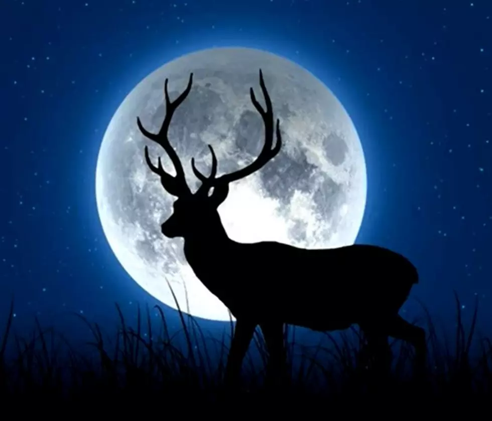 View the Biggest and Brightest Buck Moon July 13 in Texarkana