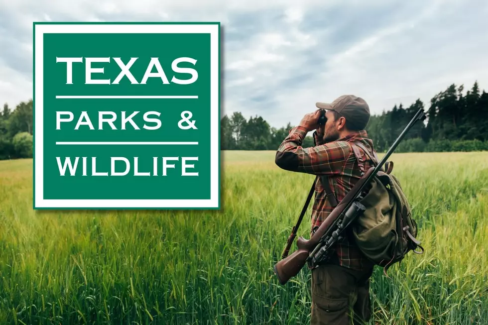 Ready For Texas Hunting Season? Take The Safety Course This Saturday