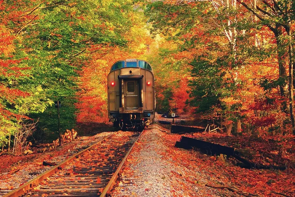 This Arkansas Train Ride Takes You Through Beautiful Fall Foliage