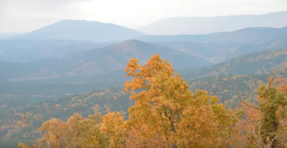Best Scenic State Parks in Arkansas for Brilliant Fall Colors