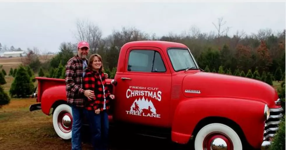 Christmas Themed Cabin in Arkansas Like a Hallmark Lifetime Movie