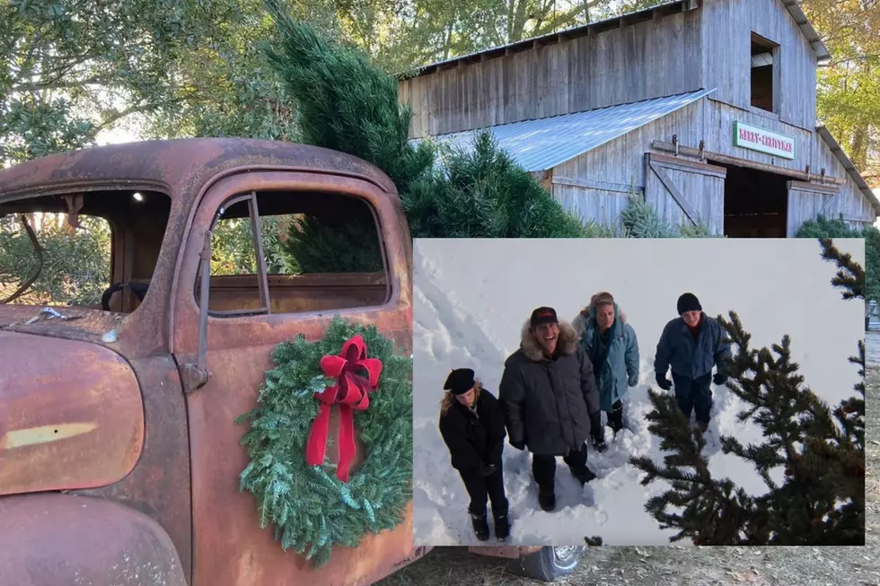 Have a Clark Griswold Tradition With a Real Tree from Texas Farm