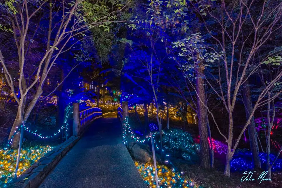 See Stunning Holiday Lights at This ‘Must See’ Arkansas Attraction