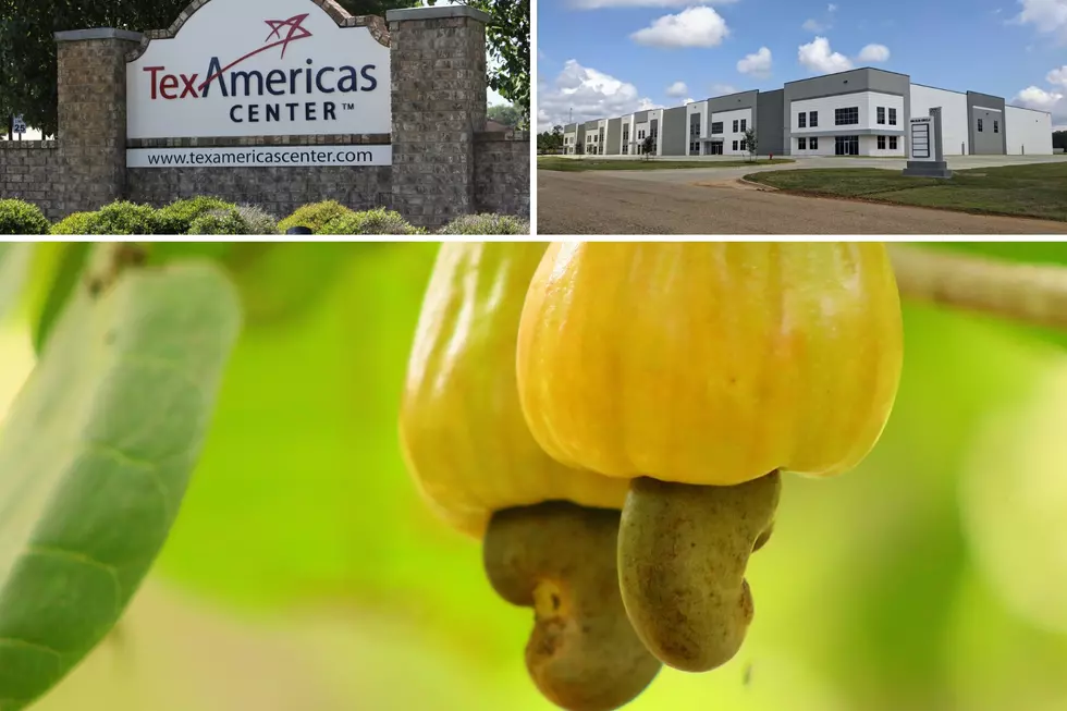 New Company Expands to TexAmericas Center And Bringing Jobs