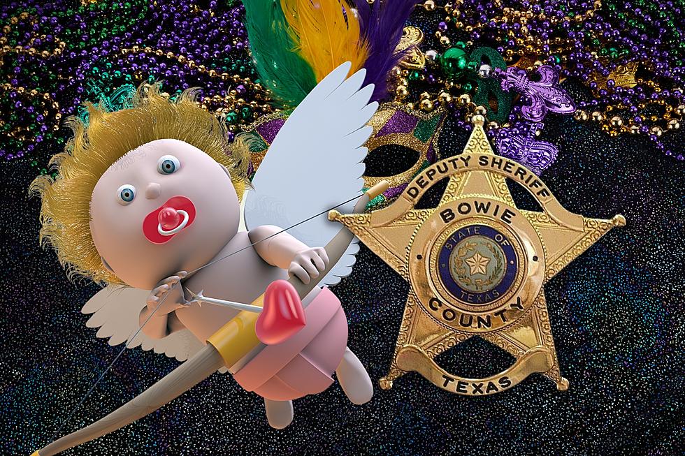 78 Arrests In Bowie County Last Week - Valentine's Sheriff's Repo