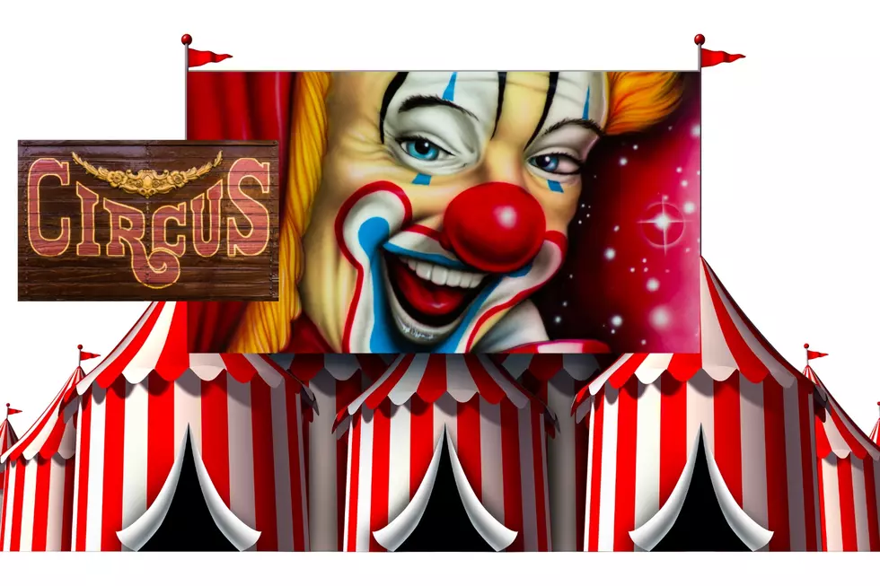 Carden International Circus Spectacular Headed to Dekalb, Texas
