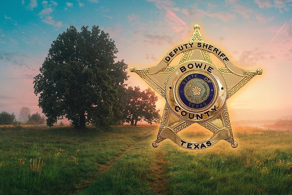 88 Arrests Last Week? Bowie County Sheriff's Report for March 27