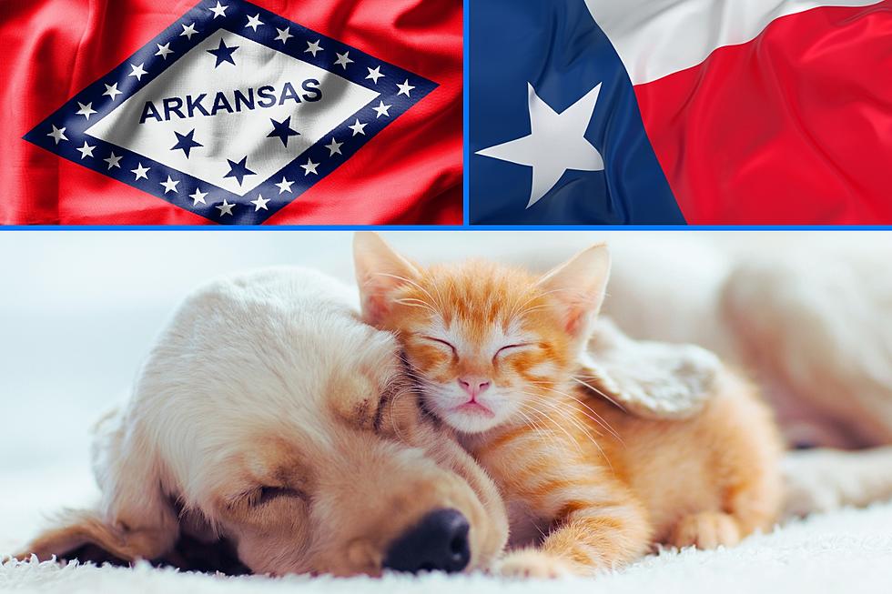 The 2023 Most Popular Dog & Cat Names in Arkansas & Texas