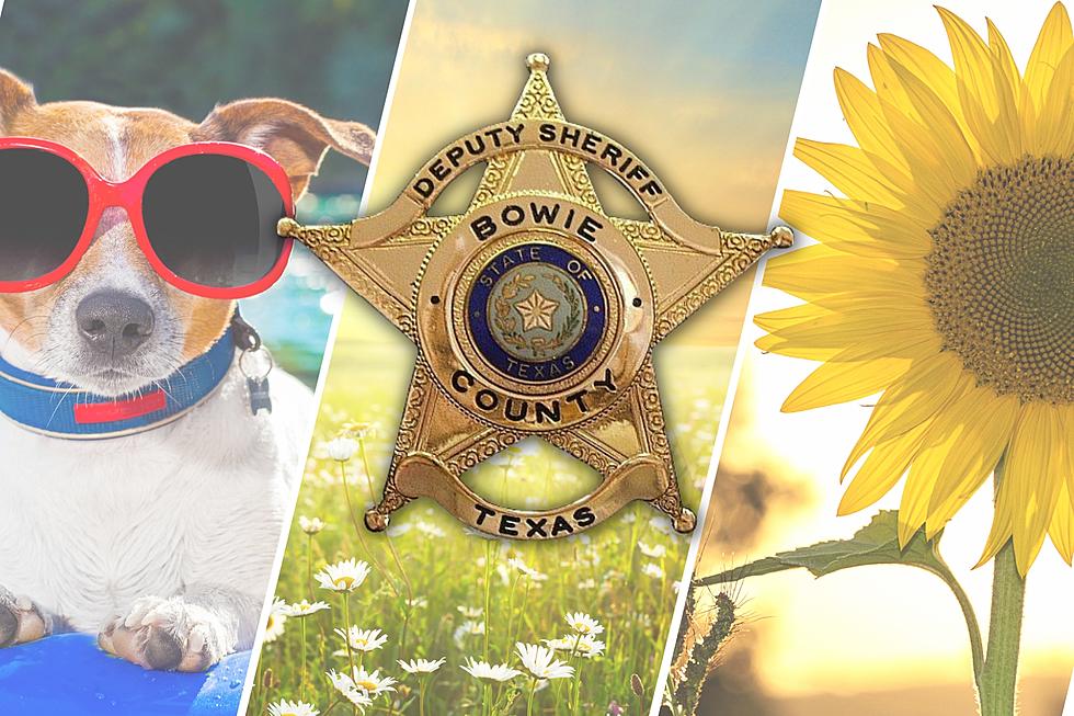 61 Arrested In Last Week's Bowie County Sheriff's Report (June 5)