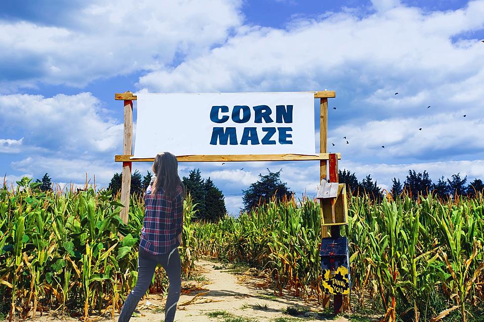 Corn Maze, Pumpkin Patch,  and Fallfest Near Texarkana Now Open