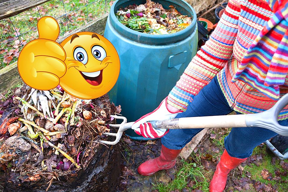 Learn All About Backyard Composting at This Free Class October 9