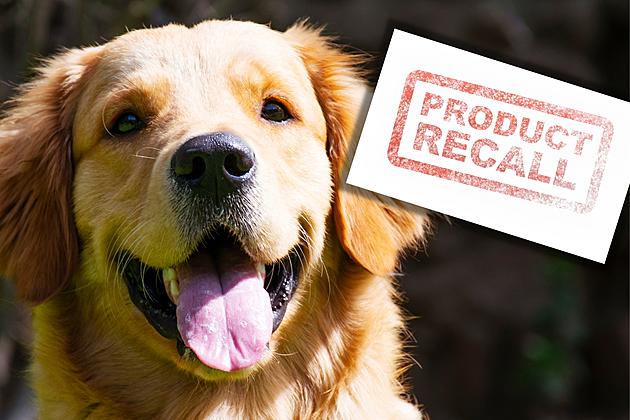 Dog Food Recall Due to Possible Salmonella in Arkansas, Texas &#038; 8 More States