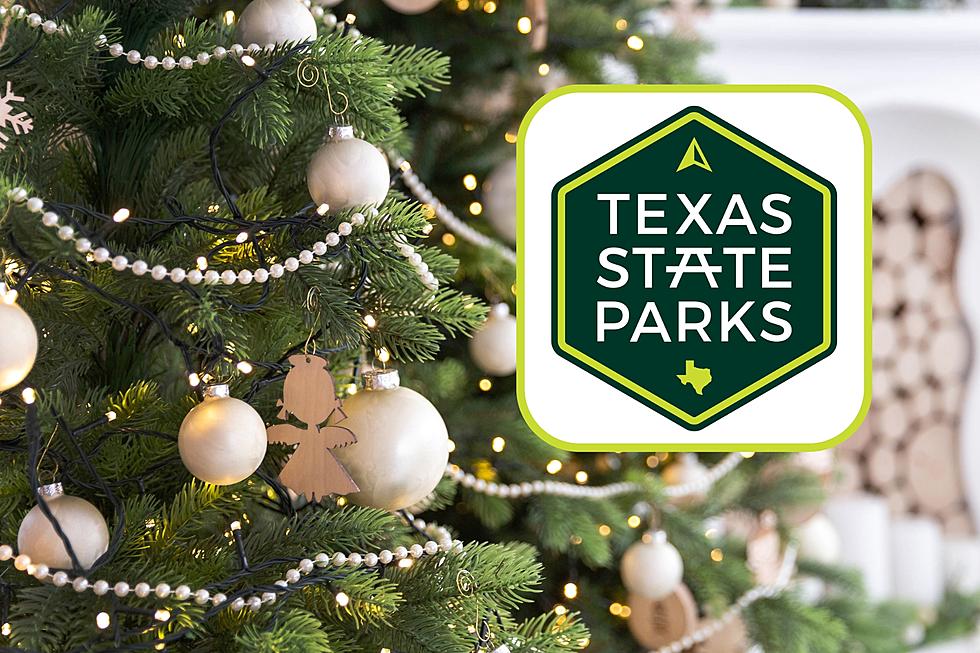 Texas State Parks Issue Special 100 Year Celebration Christmas Ornament