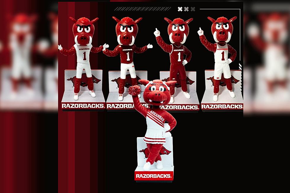 Arkansas Razorback Fans – The 2024 Bobblehead Collection is Here!