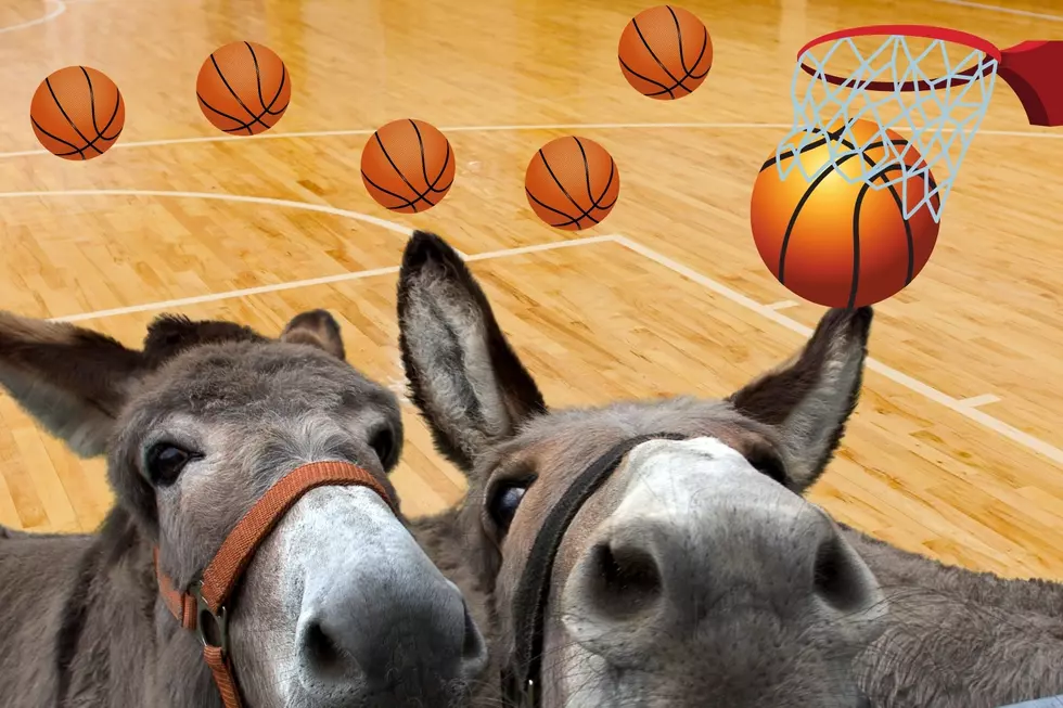 Enjoy Family Fun At Donkey Basketball Coming to Texarkana